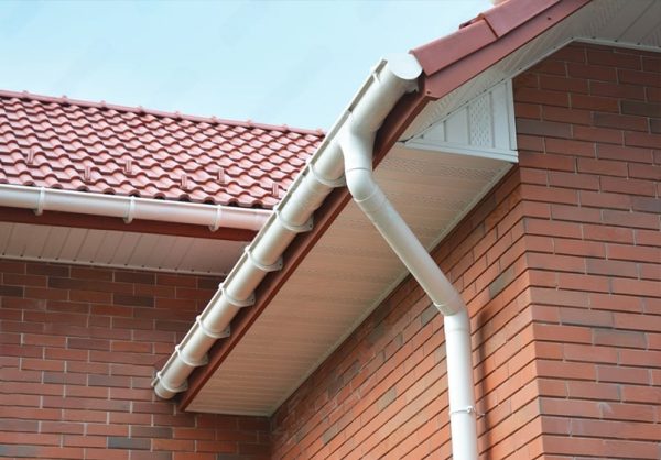 fascia